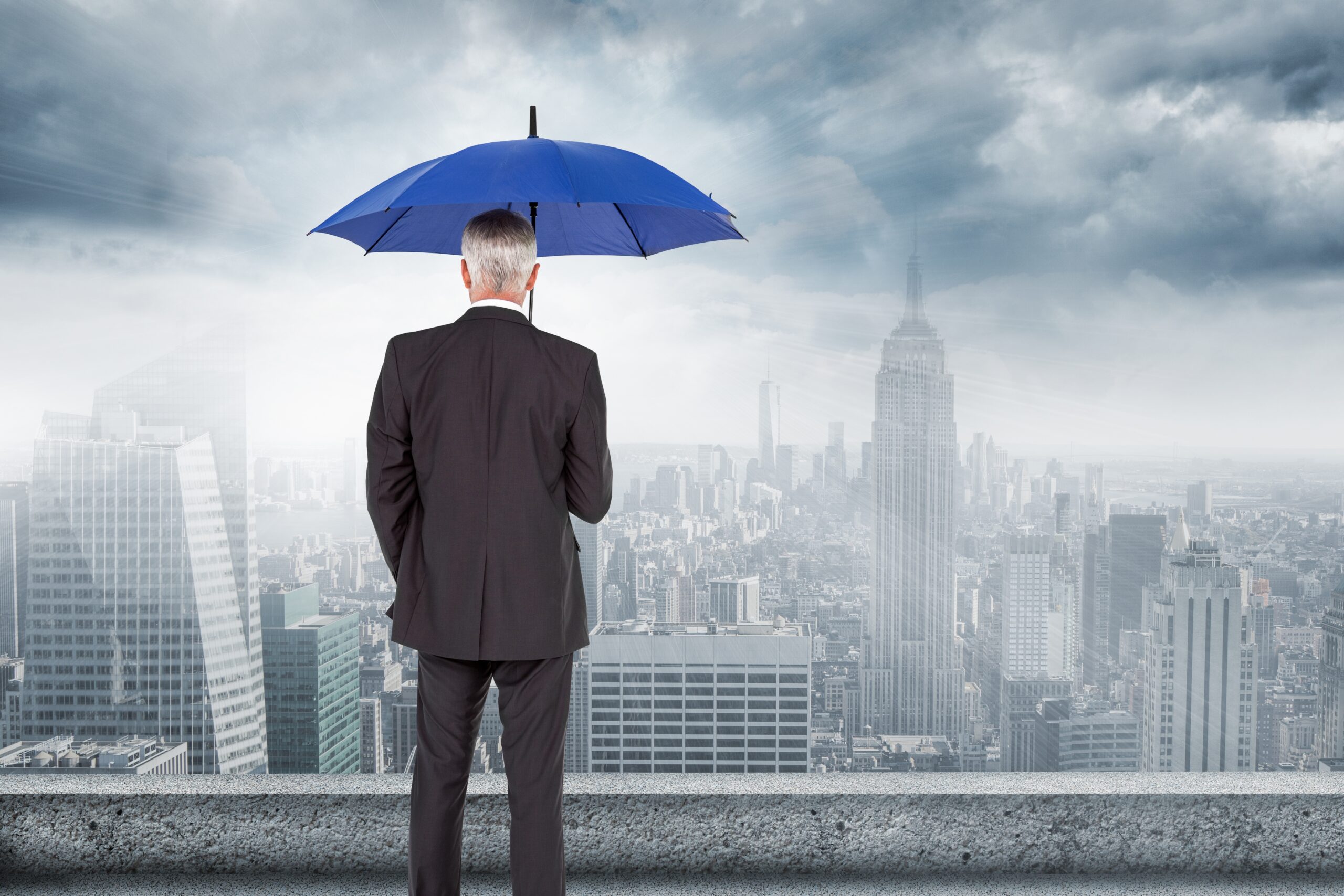 rear-view-businessman-with-umbrella-looking-city